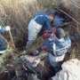 В Феодосии спасатели МЧС достали из болота коня