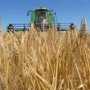 В Крыму началась уборка зерновых