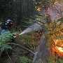 Лесной патруль предотвратил 15 пожаров вокруг Севастополя