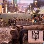 Участников Евромайдана обвинили в уничтожении деревьев в Киеве