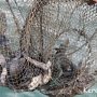 Керченская рыбоохрана заканчивает приём заявлений на орудия лова