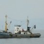 В Алуште предложили запретить судам ловить рыбу у своих берегов