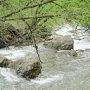 На реке Бельбек в Крыму предложили построить 13 водохранилищ