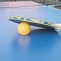 В Алуште проведут открытый турнир по настольному теннису