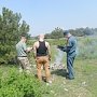 В Севастополе проводятся профилактические патрулирования лесных массивов