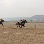 В Крыму определили победителей конных скачек сезона-2015