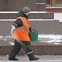 Президентский совет по правам человека (СПЧ) поддержал законопроект О.А. Лебедева о запрете использования противогололедных реагентов на тротуарах в России