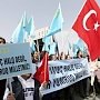 Аксенов назвал крымских татар фактором влияния Турции