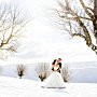 Свадьба зимой: преимущества и недостатки