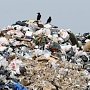 На полигон в Каменке мусор не вывозится, — руководство МУП «Экоград»