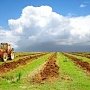 Минимущество РК сдаст землю в аренду местным фермерам
