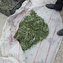 У жителя Кировского района нашли почти килограмм конопли