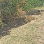 Огнеборцы продолжают ликвидировать загорания сухой травы