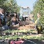 Власти Крыма попросили правительство защитить урожай от града и помочь в раскорчевке садов