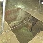 Лошадь провалилась в бассейн в Феодосии: животное спасли сотрудники МЧС