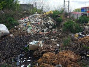 Более 40% частных домовладельцев и юридических лиц Симферополя не заключили договоры на вывоз мусора