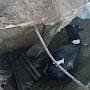 В Кировском районе спасатели достали из ямы корову