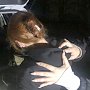 В Симферополе полицейскими задержана женщина, подозреваемая в хранении наркотических средств необычным способом
