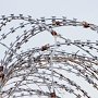 Житель Коми приговорен к 8,5 годам колонии на убийство четвертьвековой давности в Феодосии
