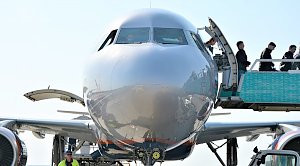 Парламентарии Госдумы предлагают запретить авиакомпаниям рассаживать семьи в самолетах