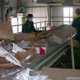 Власти Белогорска решили продать мусор мусороперерабатывающим заводам