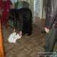 В Крыму мошенницы сняли с пенсионерки порчу за 12 тыс. грн. (ФОТО)