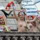 Олесь Бузина: «Femen» — реклама проституции: наглая, навязчивая, развращающая»