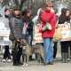 Симферополь поддержал международную акцию защитников животных «FAIR PLAY»