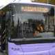Власти Севастополя пообещали до конца года обновить троллейбусный парк