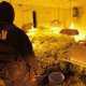 Крымчане организовали наркотрафик в СНГ и другие страны