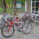 В Евпатории появятся пункты проката велосипедов