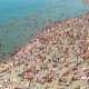 Перечень пляжных территорий в Крыму пополнился до 558 пляжей