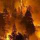 В Крыму из-за чрезвычайной пожароопасности ограничили посещение лесов