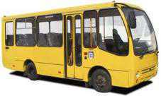 В сафари-парк «Тайган» пустили ежедневные автобусы