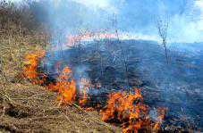 За сутки в Крыму шесть раз горела сухая трава