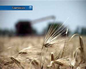 В Крыму началась уборка зерновых