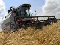 Аграрии Крыма убрали треть площадей зерновых