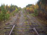 Мастеру депо из Симферополя дали три года за разобранный участок железнодорожного пути