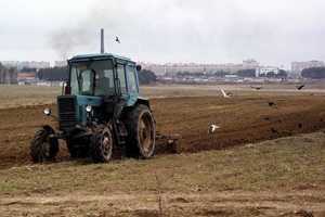 Эксперты прогнозируют снижение урожая в Украине до 40 млн тонн из-за засухи