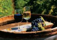 Свое участие в «WineFeoFest» подтвердили 14 винопроизводителей