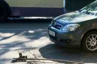 Из-за смерти водителя от упавшей троллейбусной штанги в Севастополе завели дело