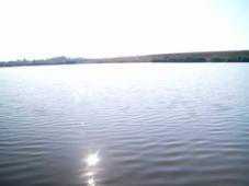 СЭС запретила купаться в Михайловском озере в Саках