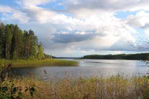 СЭС запретила купаться в озере Михайловское Сакского района из-за бактерий