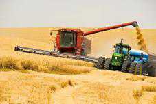 В Крыму завершилась уборка ранних зерновых