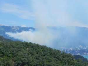 Пожар над Ялтой локализован, но город задыхается от дыма