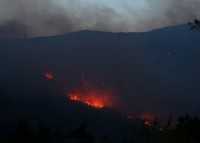 Пожар в лесу возле Ялты не потушили