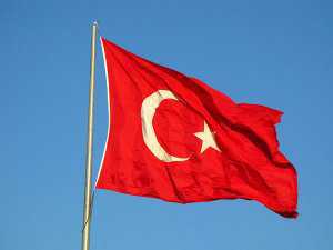 В Херсонской области статус регионального может получить турецкий язык
