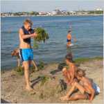 Отдыхающих на «Омеге» не отпугивает, что пляж закрыт с середины августа