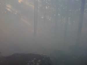 Под Алуштой горел лес