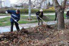 В Севастополе начинается осенний двухмесячник чистоты